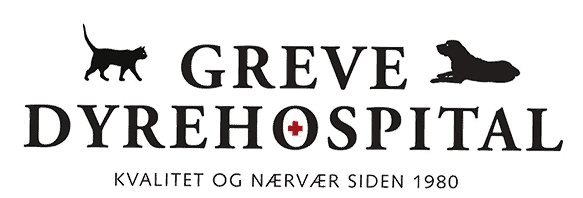 Greve Dyrehospital